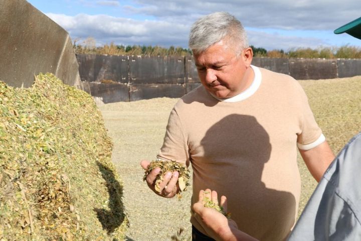 Глава Зеленодольского района провел рабочий объезд Заволжской зоны