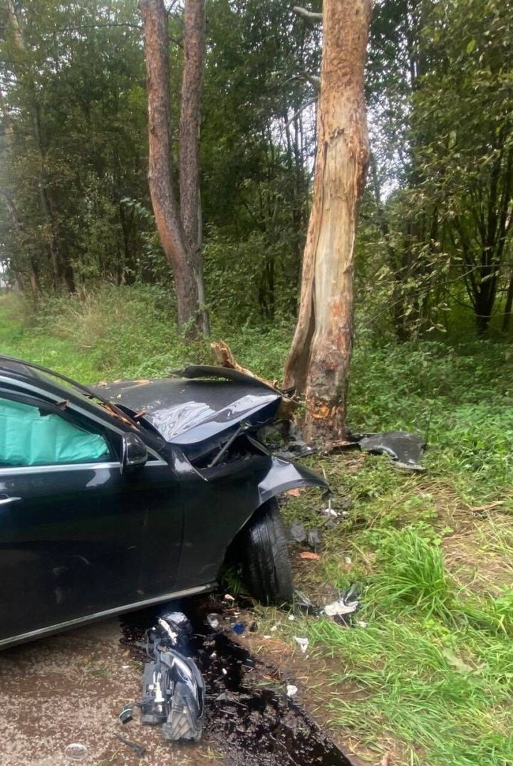 В Нижнекамске водитель Mercedes едва не погиб, влетев в дерево