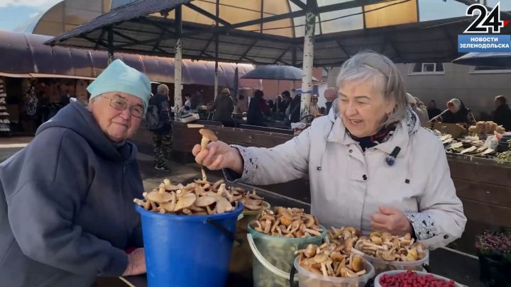 В Зеленодольске пик грибного сезона