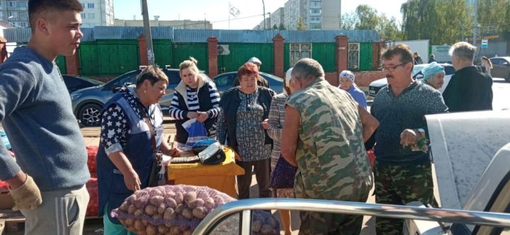 В Зеленодольском районе стартовали традиционные осенние сельскохозяйственные ярмарки