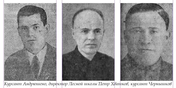 Лесная кузница Зеленодольска