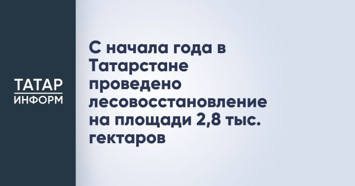 В Татарстане с начала года восстановлено 2,8 тыс. гектаров леса