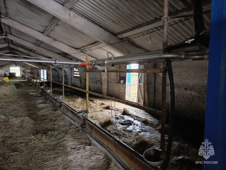 В  деревне Прибой Зеленодольского района произошел пожар в здании частной фермы