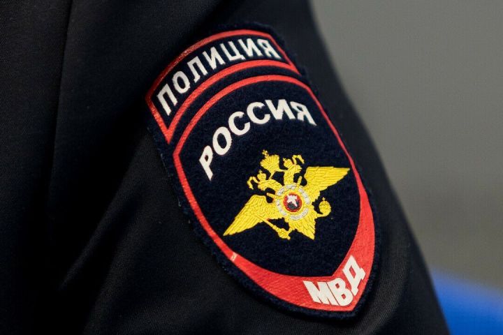 Жительница Казани хотела купить породистого щенка, но попалась на уловки мошенников