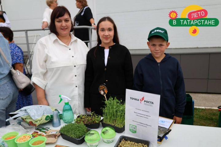 Праздник двора в Осиново собрал жителей на яркое событие