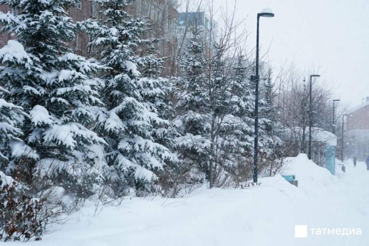 Облачную погоду и метель в отдельных районах прогнозируют в Татарстане 13 января