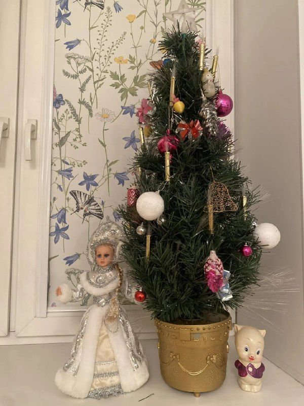 Телекомпания «Зеленый Дол» запустила марафон домашних Елочек