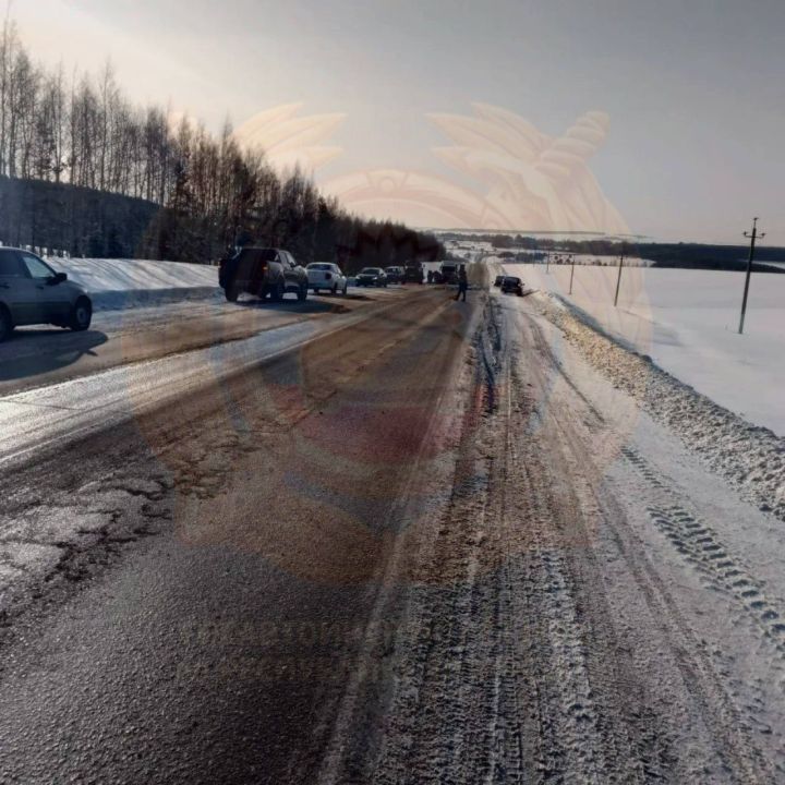 В Агрызском районе произошло смертельное ДТП с «КамАЗом»  — организована проверка