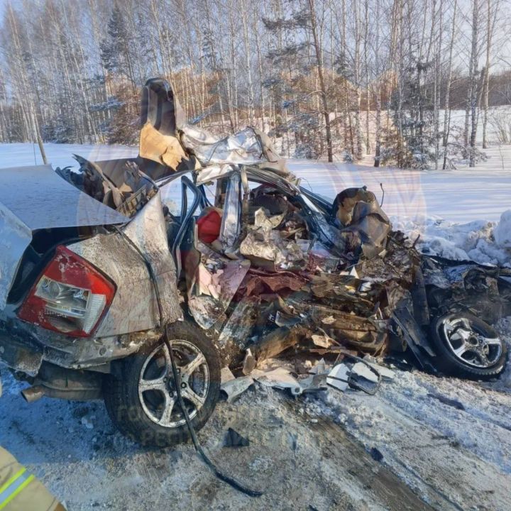В Агрызском районе произошло смертельное ДТП с «КамАЗом»  — организована проверка