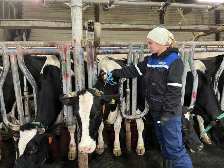 Главный ветврач Зеленодольского района Ильдус Хатыпов  рассказал, какие прививки надо делать в первую очередь