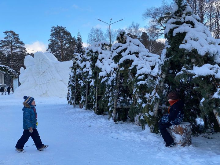 Снежное Евангелие Раифы: приглашаем прикоснуться к зимнему сказанию о Боговоплощении