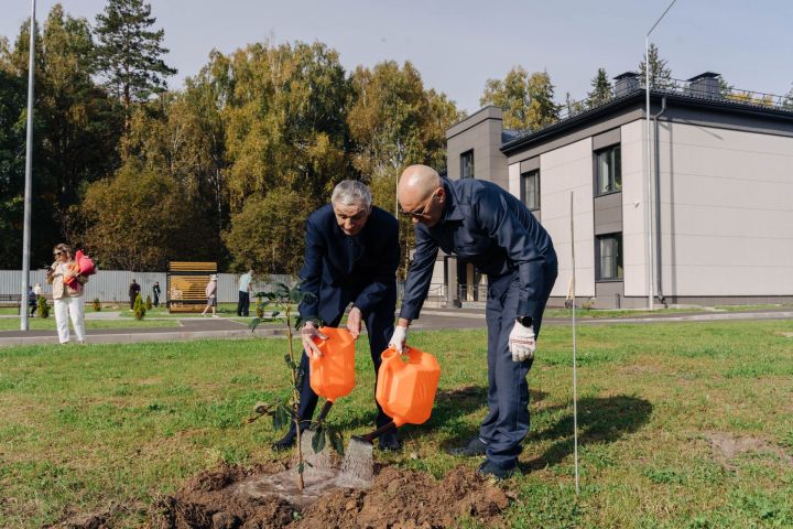 В Доме заботы вырастет «Сад памяти»