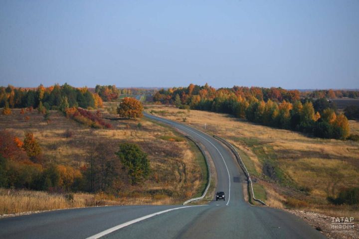 Инструкторы ДОСААФ рассказали, как безопасно управлять автомобилем осенью
