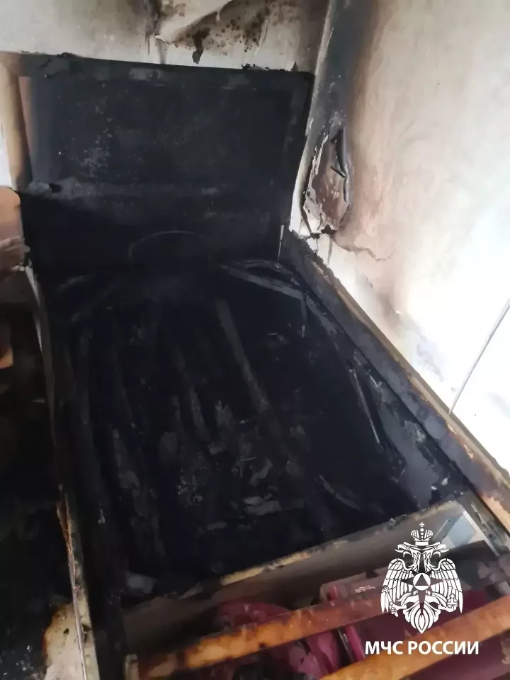 В Васильево при пожаре погибла женщина