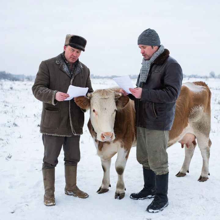 «Выгодная» покупка скота без документов может повлечь реальный срок