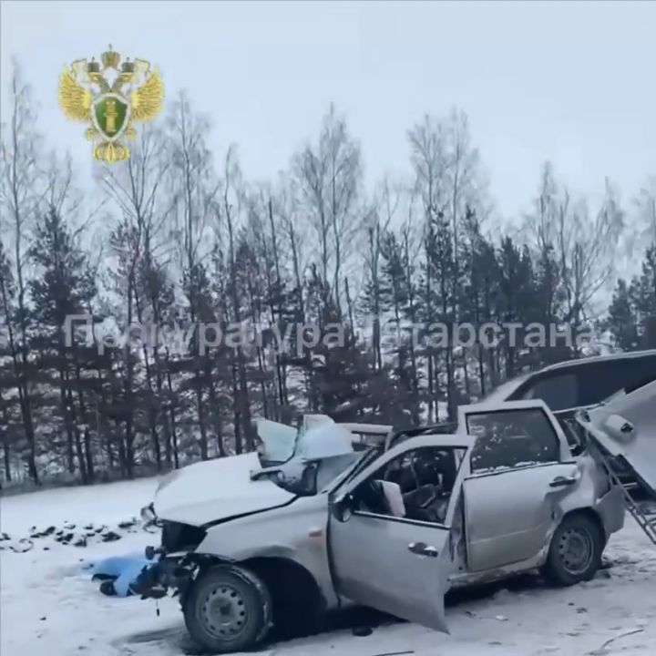 В результате массовой аварии с грузовиком в Татарстане двое погибших