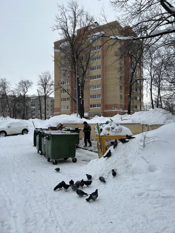Ситуацию с вывозом мусора в Зеленодольском районе прокомментировали в исполкоме