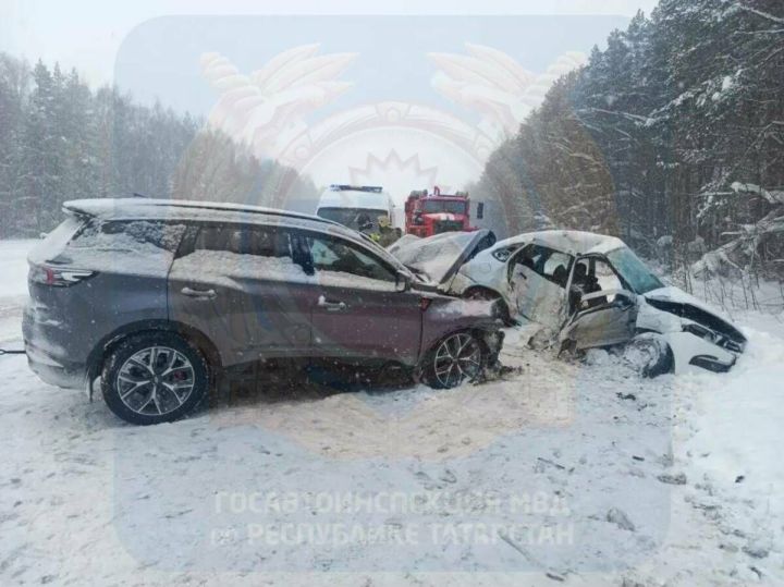 В Высокогорском районе РТ погибли супруги, выехав на встречную полосу