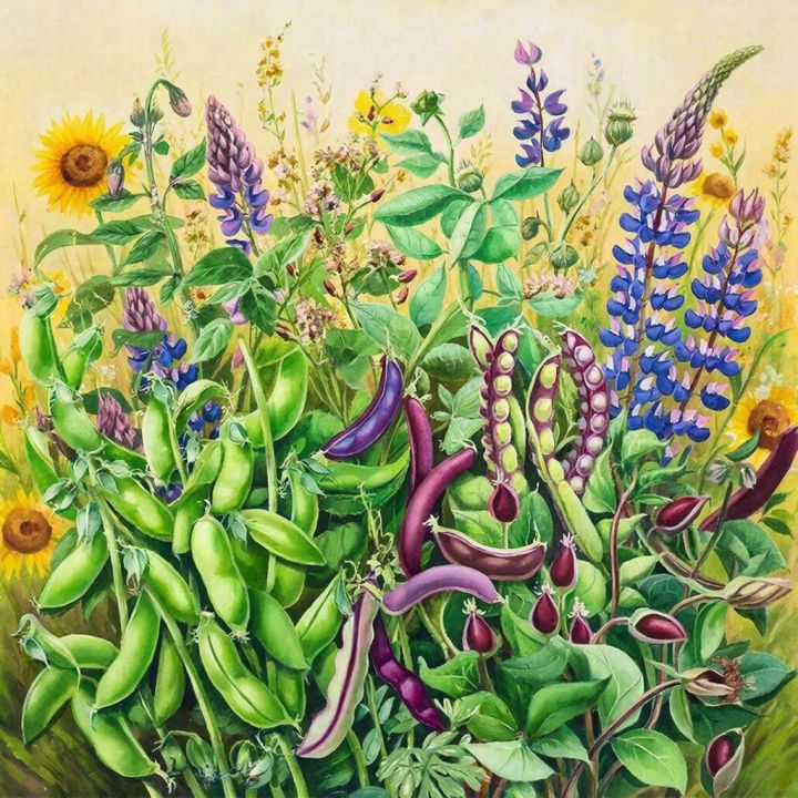 Генеральная Ассамблея ООН провозгласила 10 февраля Всемирным днем зернобобовых