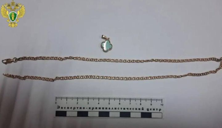 Жительницу Зеленодольска ограбила женщина из Волжска