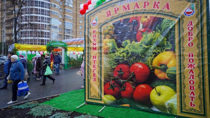 В Зеленодольском районе с 14 марта стартуют традиционные сельскохозяйственные ярмарки