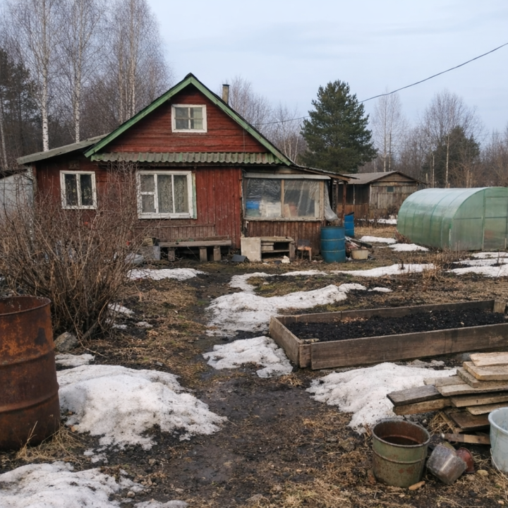 Мартовские дела на даче: что нужно успеть до конца месяца