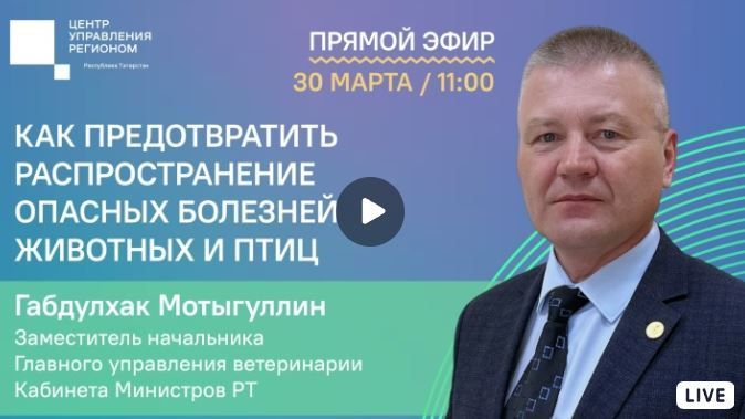Об инфекционных заболеваниях животных и птиц расскажут в прямом эфире