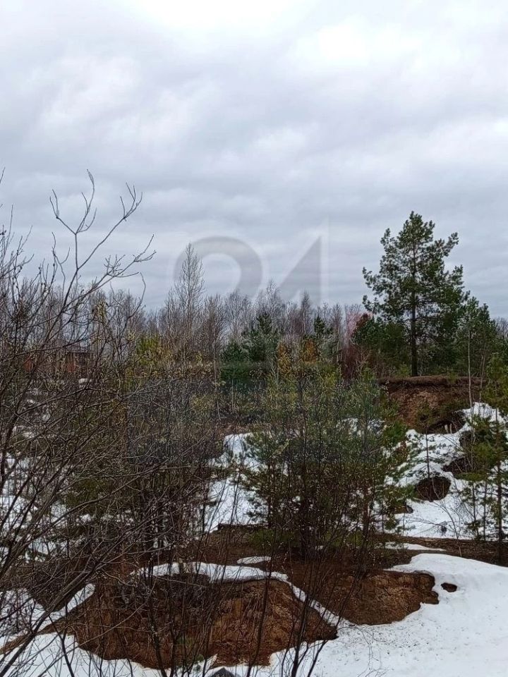 В Зеленодольске состоялся экологический рейд