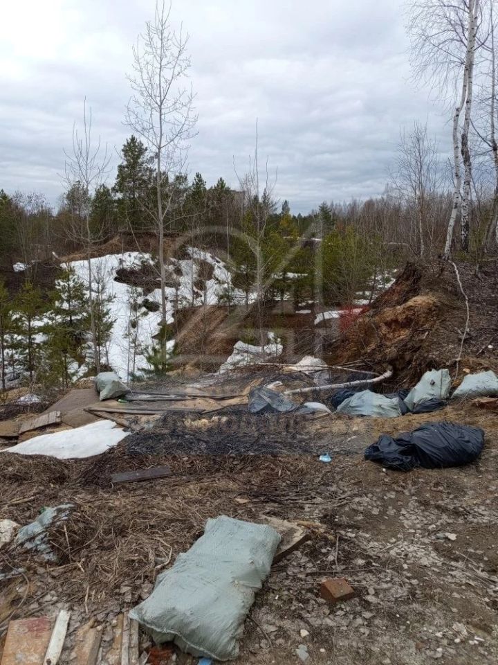 В Зеленодольске состоялся экологический рейд