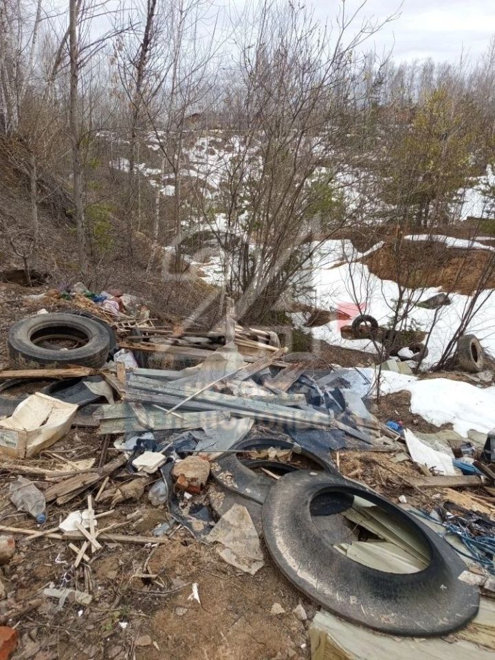 В Зеленодольске состоялся экологический рейд