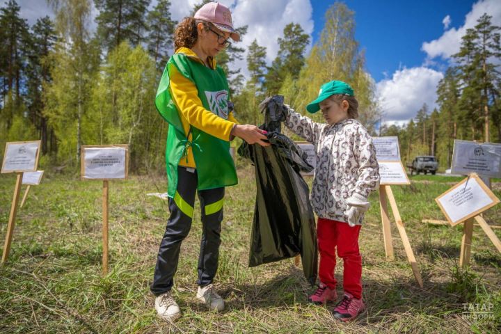 В Татарстане с 20 апреля начнётся экологическая акция по наведению порядка в лесных массивах