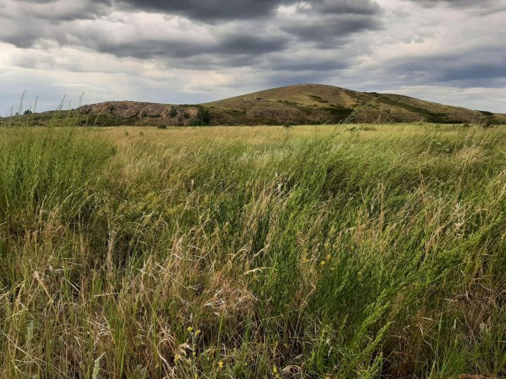 Автопутешествия зеленодольцев