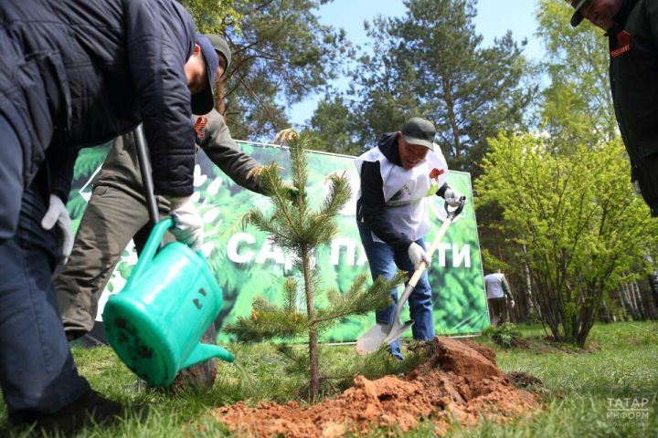 В Татарстане с 25 апреля по 2 мая состоится международная экологическая акция «Сад памяти»