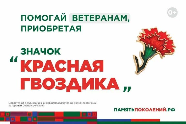 Акция «Красная гвоздика»: как поддержать ветеранов в Татарстане