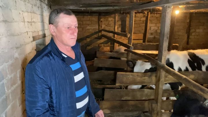 Семья в селе Каратмень  Зеленодольского района строит бизнес на государственные субсидии