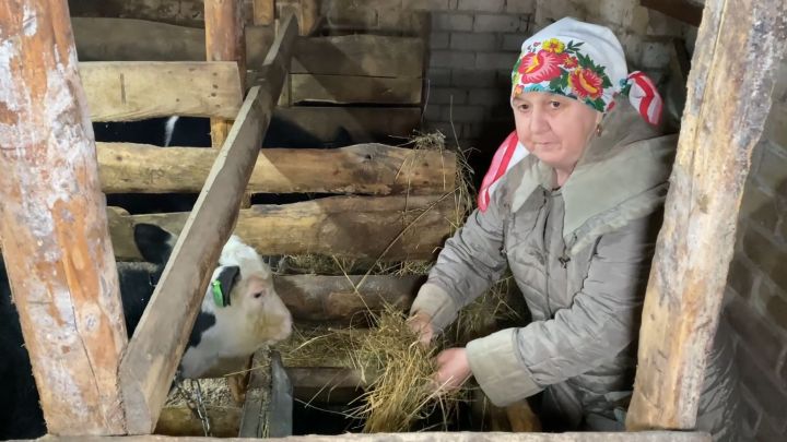 Семья в селе Каратмень  Зеленодольского района строит бизнес на государственные субсидии