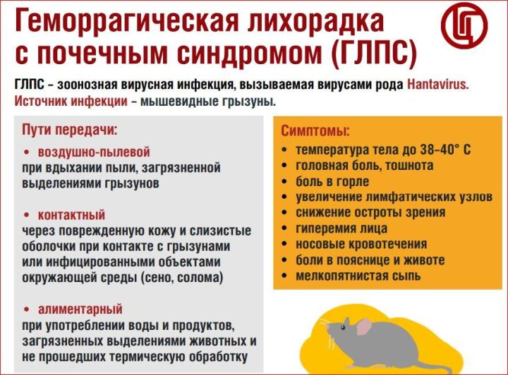 Роспотребнадзор: Весной резко возрастает риск заражения геморрагической лихорадкой