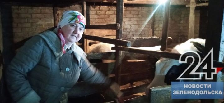 По 200 тысяч рублей — такую помощь получили семьи самозанятых сельчан в Зеленодольском районе