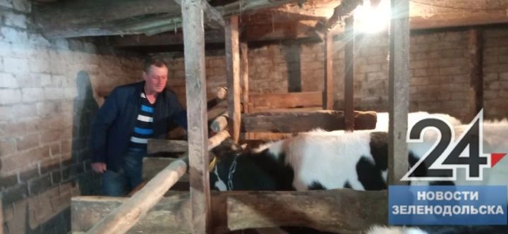 По 200 тысяч рублей — такую помощь получили семьи самозанятых сельчан в Зеленодольском районе