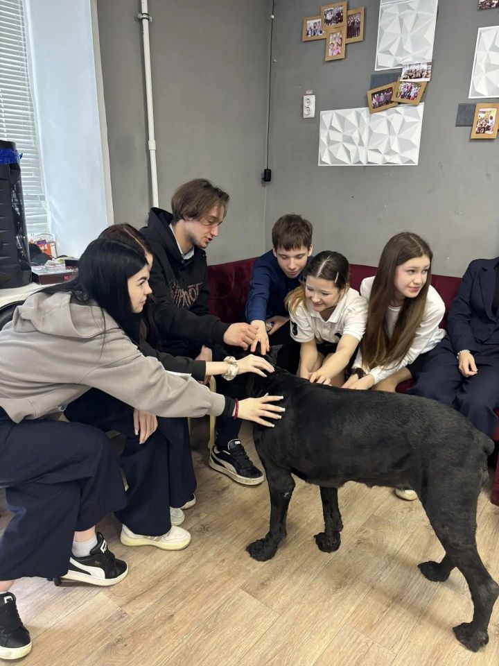 Профессиональный кинолог провела встречу в подростковом клубе