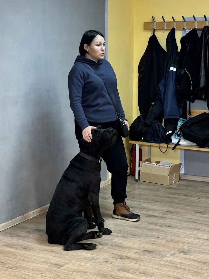 Профессиональный кинолог провела встречу в подростковом клубе