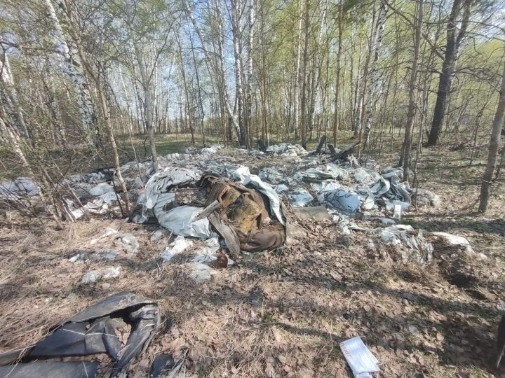 В Зеленодольском районе выявили две несанкционированные свалки