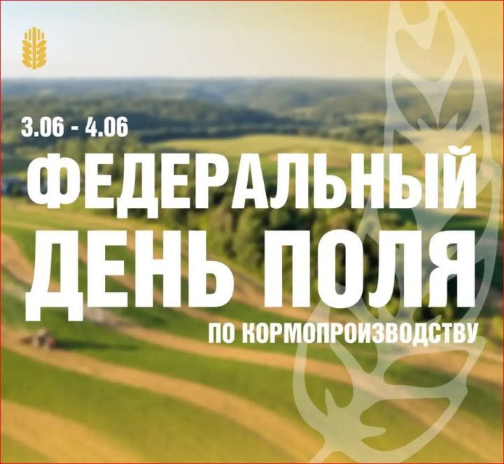 В Мензелинском районе пройдет Федеральный День поля по кормопроизводству