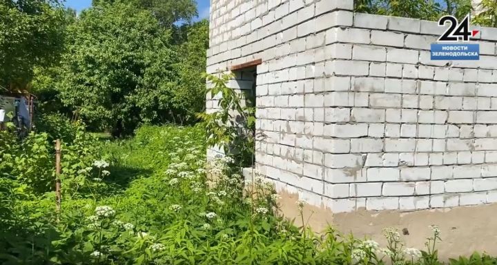 Росреестр поясняет: Фальшивые штрафы за реальные сорняки