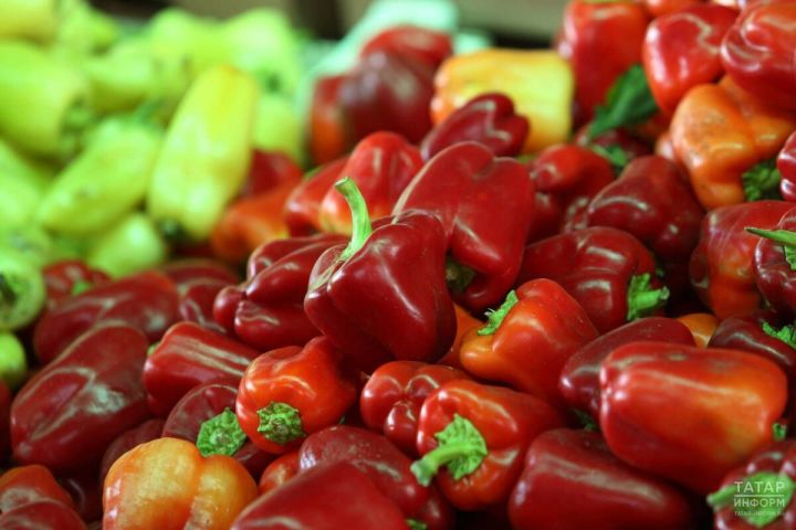 Сажаю 3 сорта перца — и собираю по 10 штук с куста без перебоев