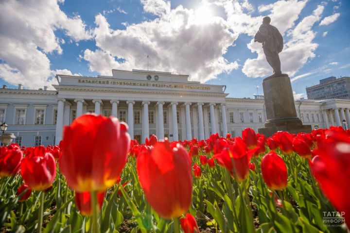 Прием заявлений на бюджетные места в российских вузах завершится 25 июля