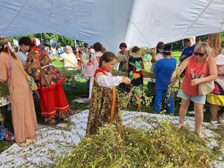 Магия трав и солнца