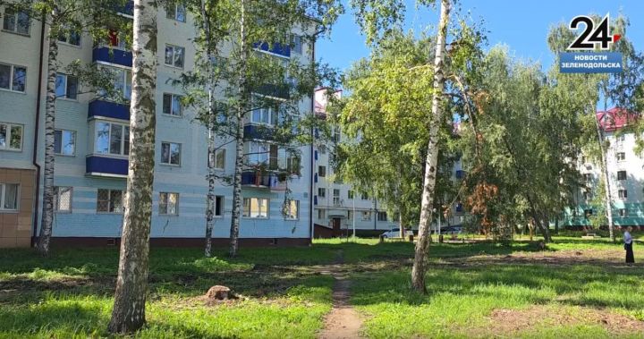 В Зеленодольске спиливают старые аварийные деревья