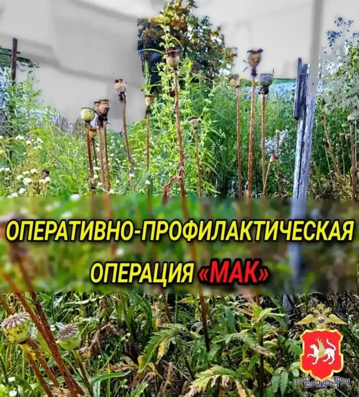 Полицейские Казани подвели итоги операции «Мак-2026»